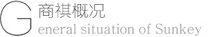 公司概况